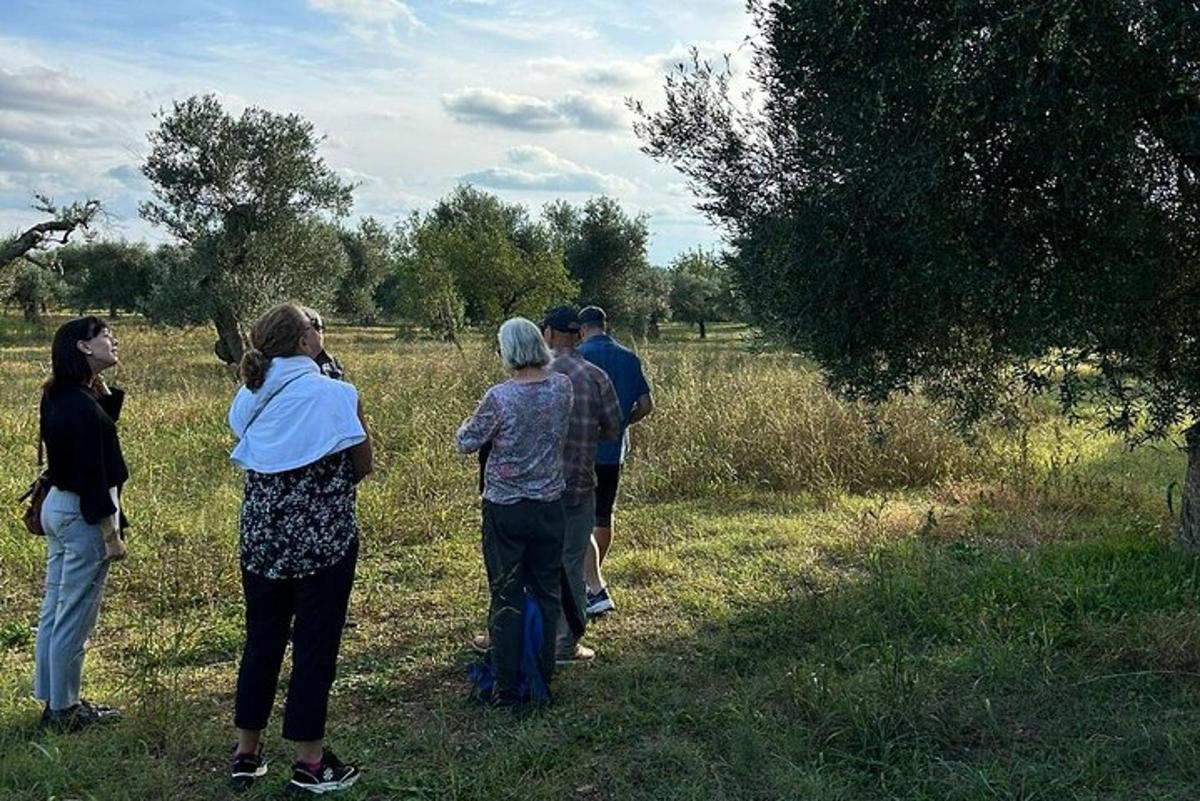 ryhmä ihmisiä seisoo pellolla ja katsoo kirahvia