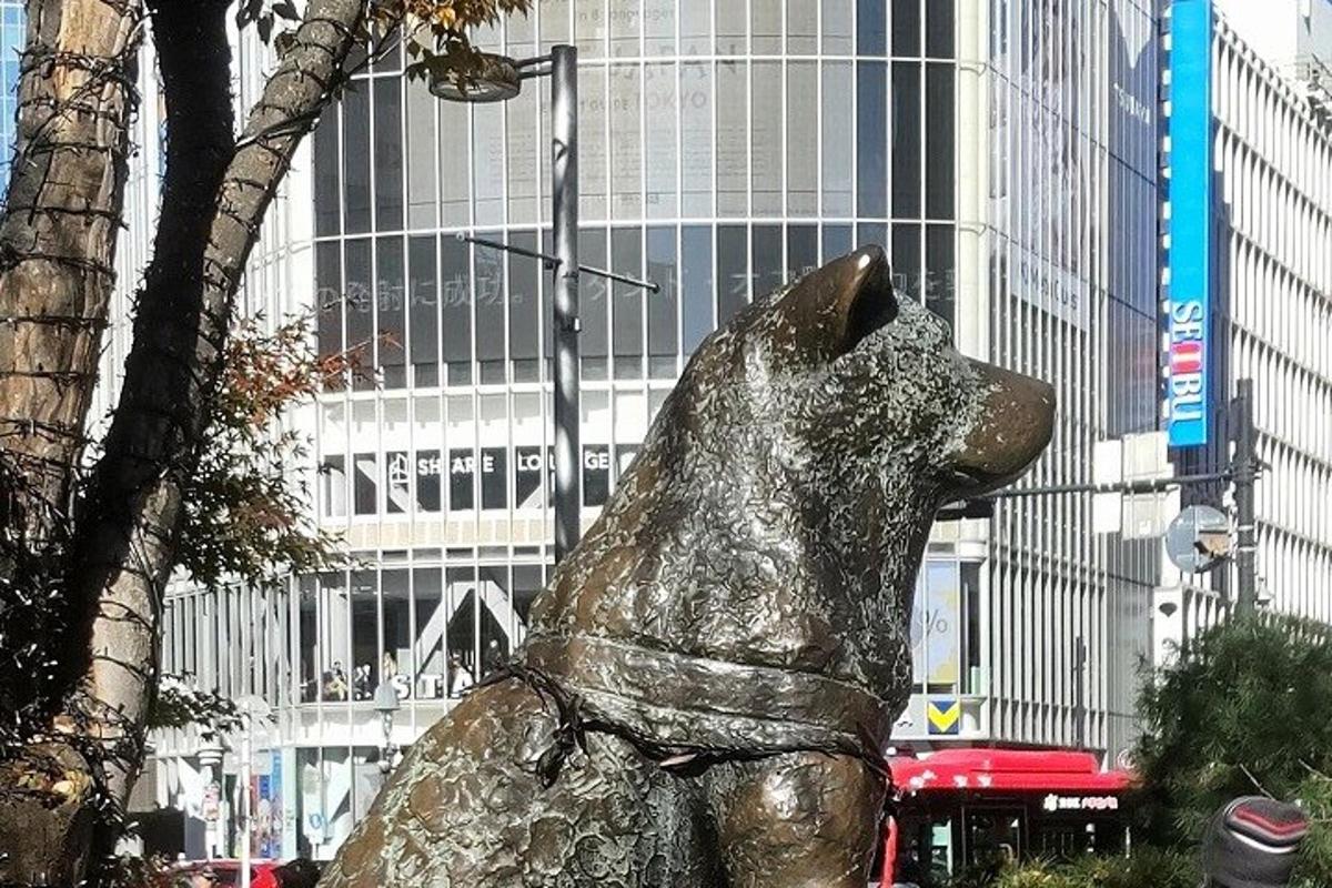 Bronsstytta af hundi fyrir framan byggingu