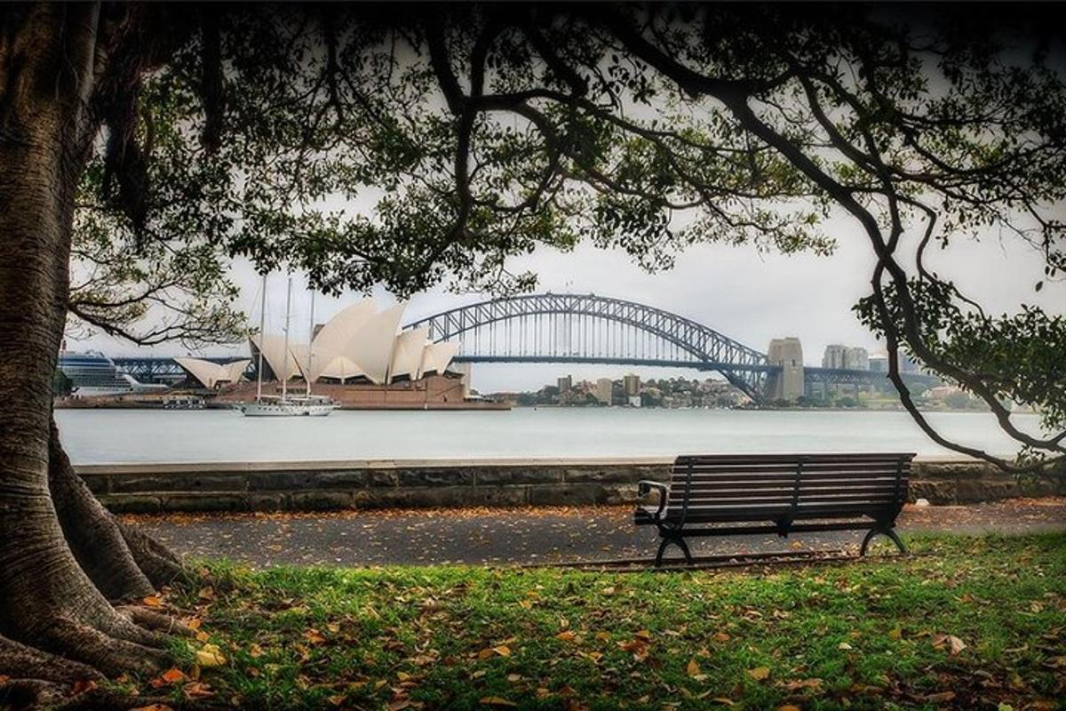 a park bench under a tree with a view of a bridge