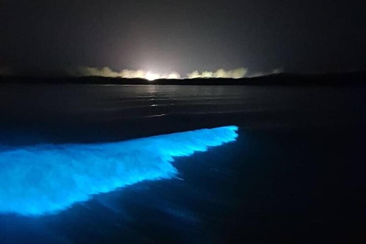 uma luz azul na água à noite