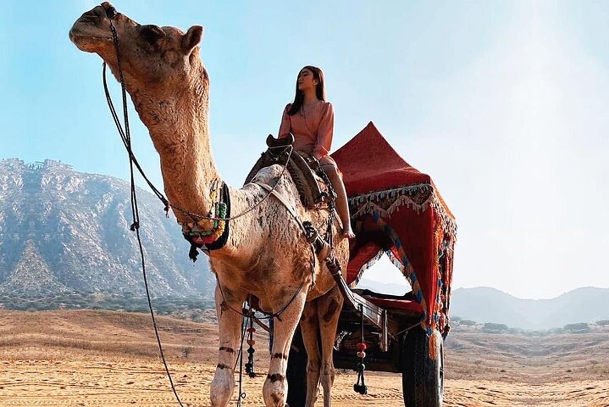 a woman riding on the back of a camel