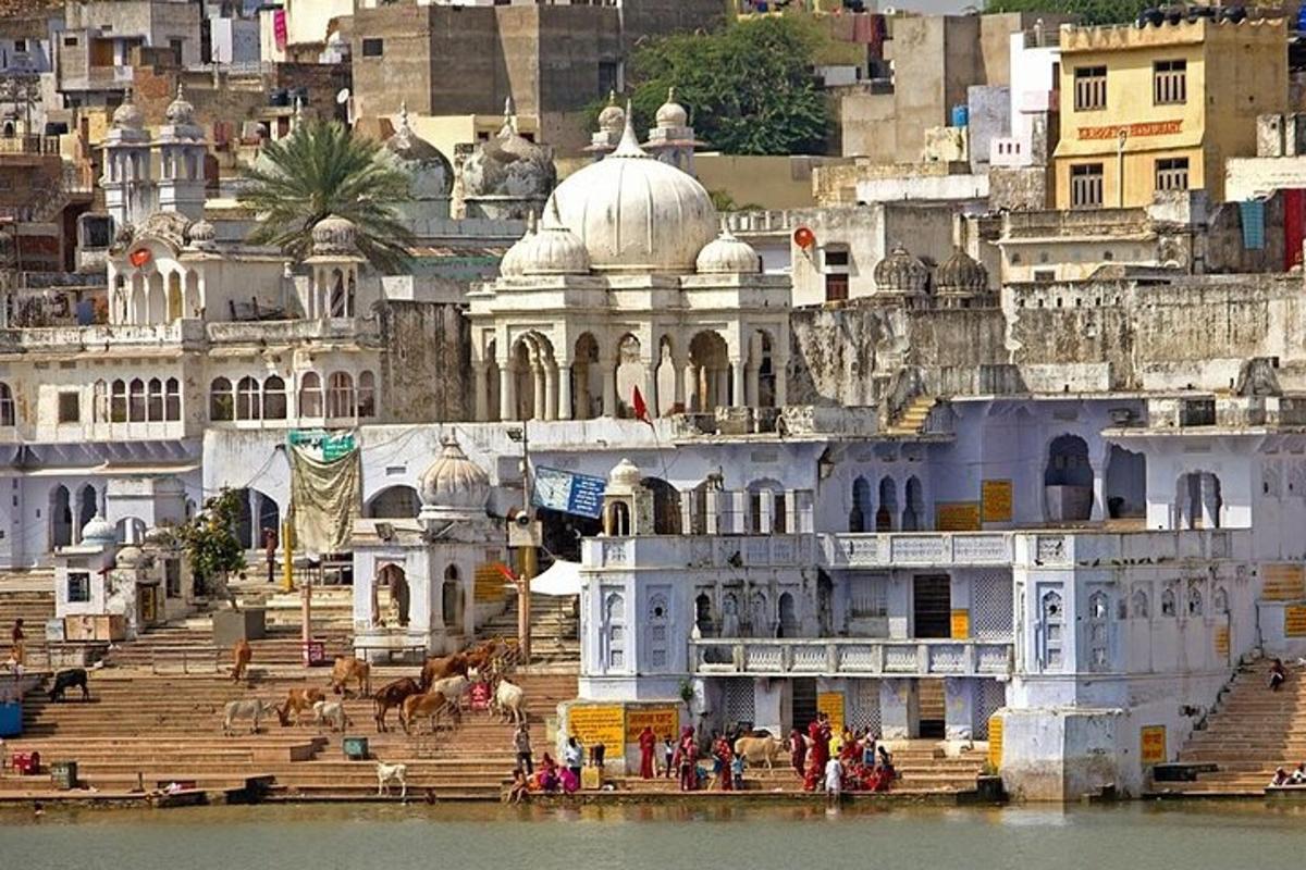 a group of buildings on a hill next to the water
