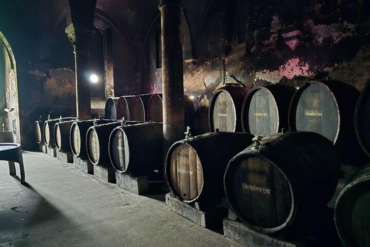una fila di botti di vino in una cantina