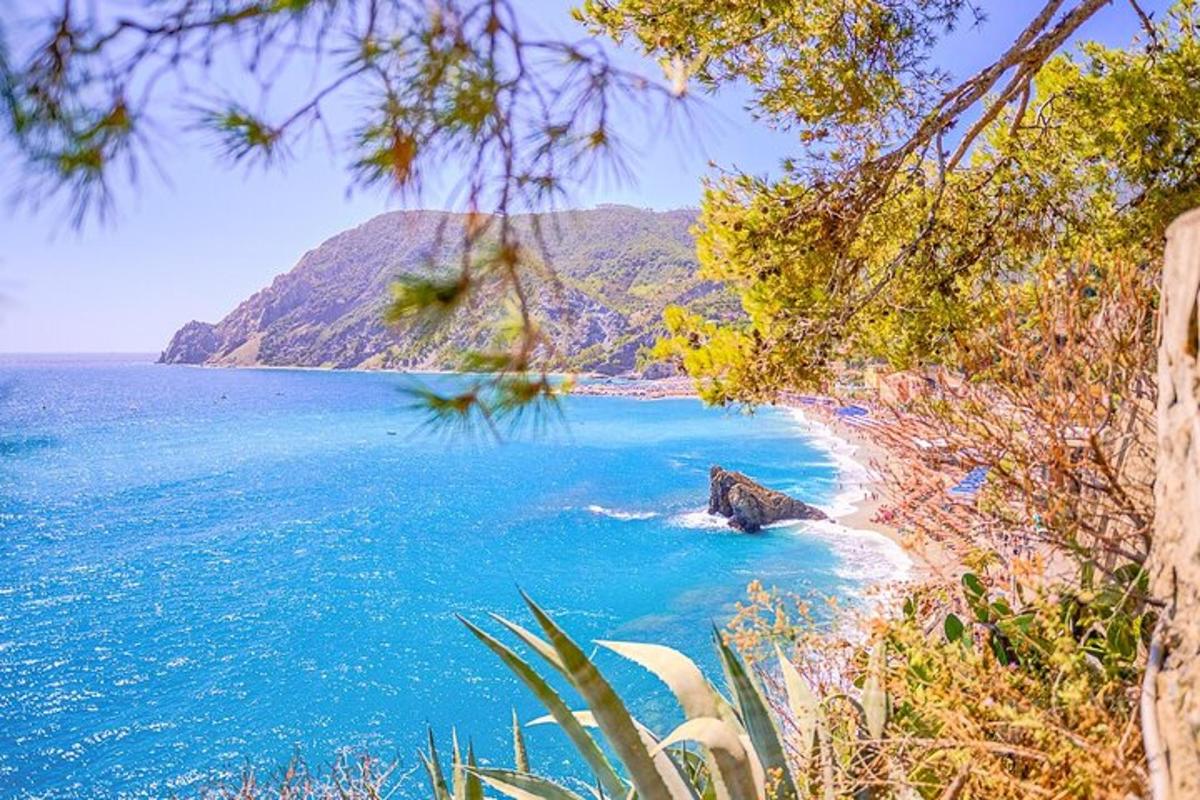 pemandangan pantai dengan air biru dan pokok