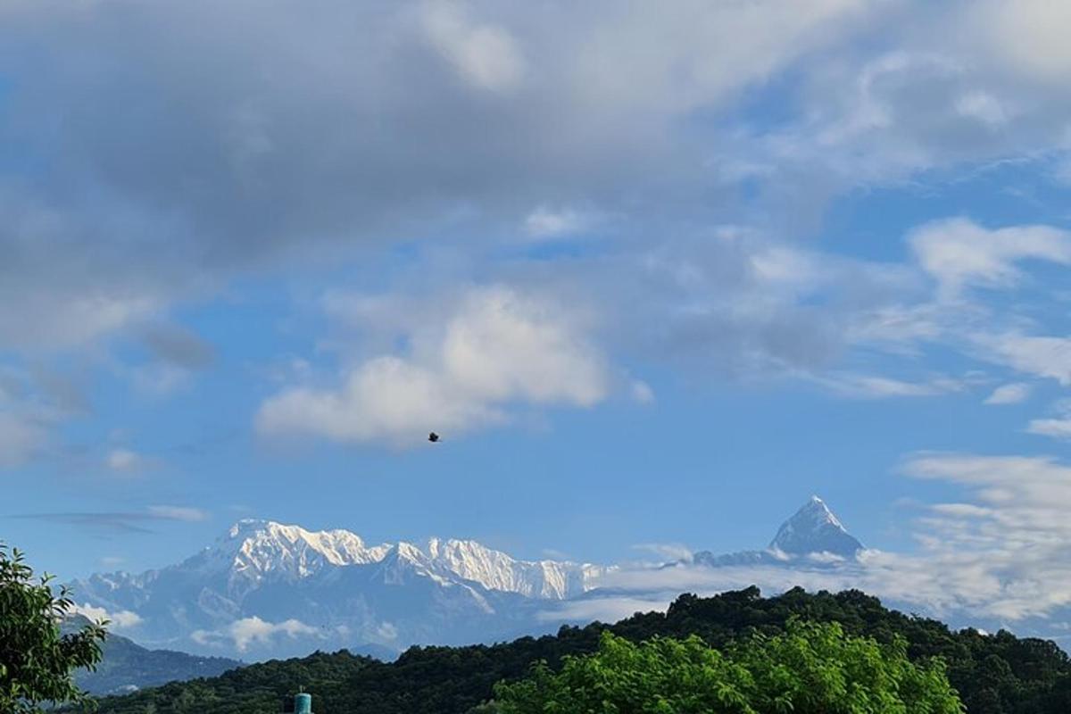a bird flying in the sky over a mountain