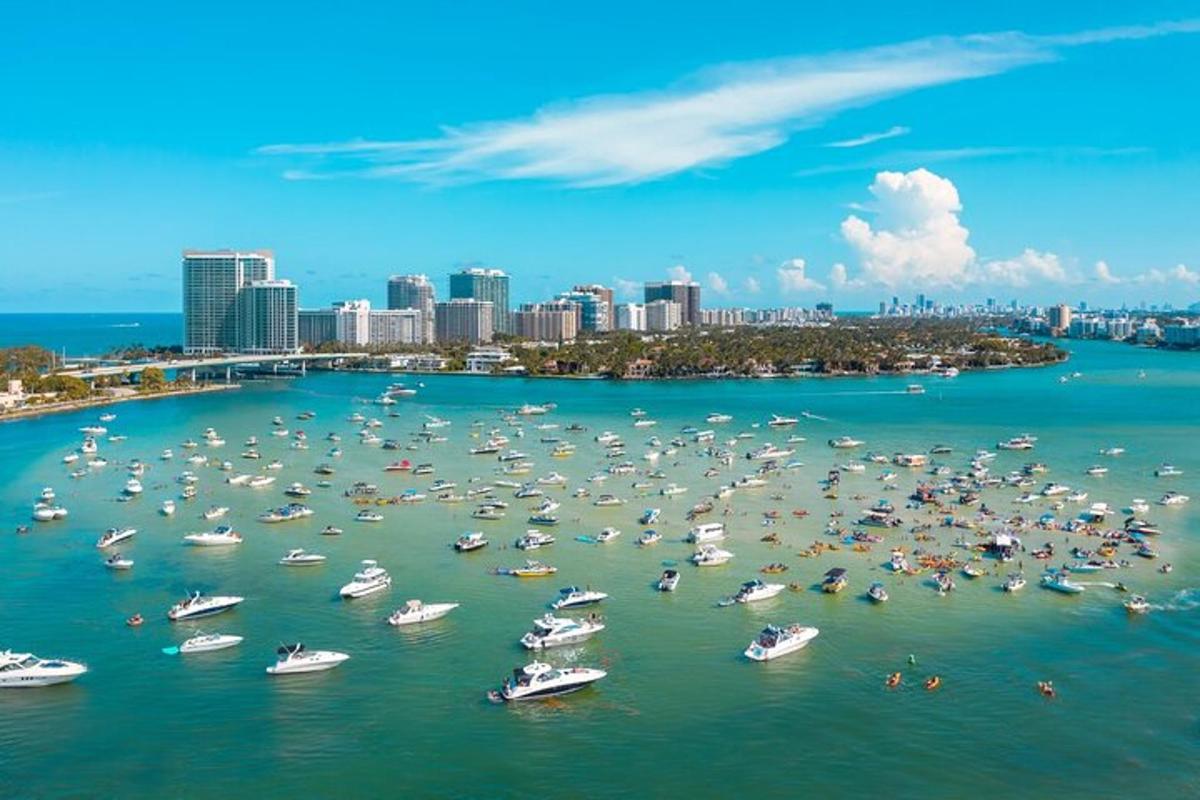 Un gran grupo de barcos en el agua cerca de una ciudad.