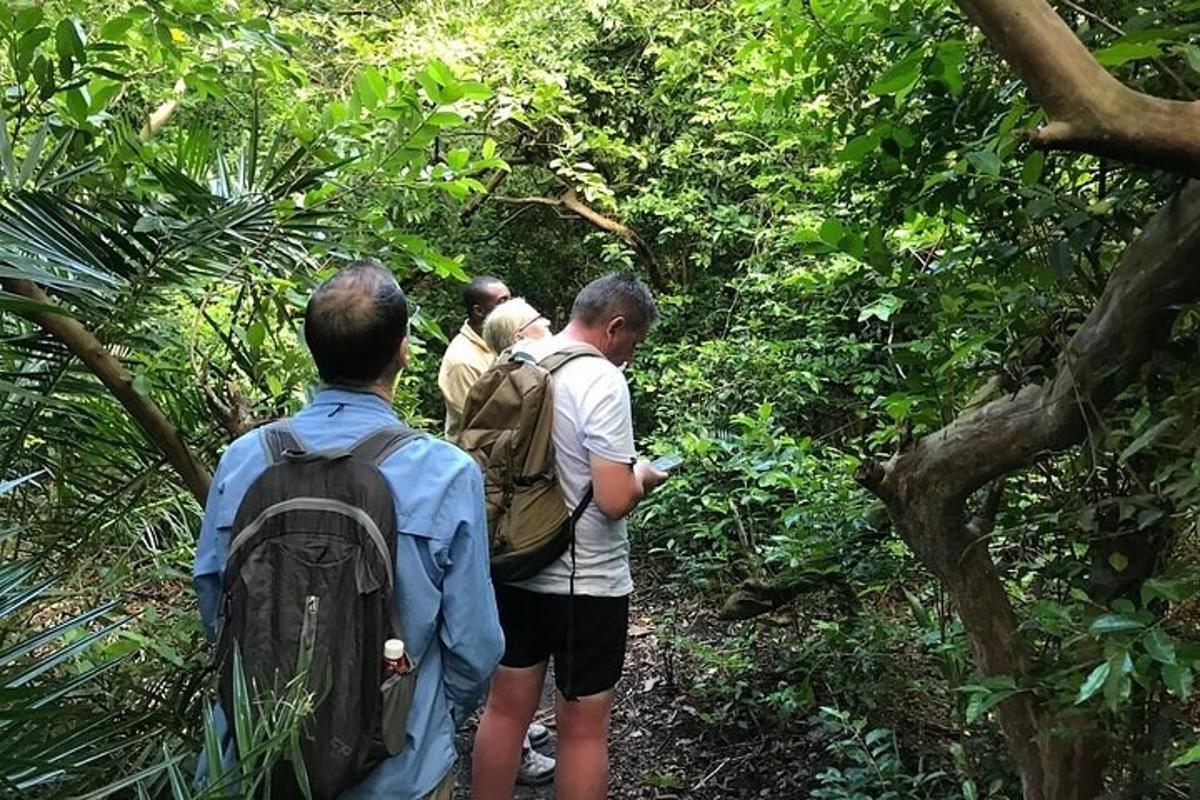 sekumpulan orang berjalan melalui hutan