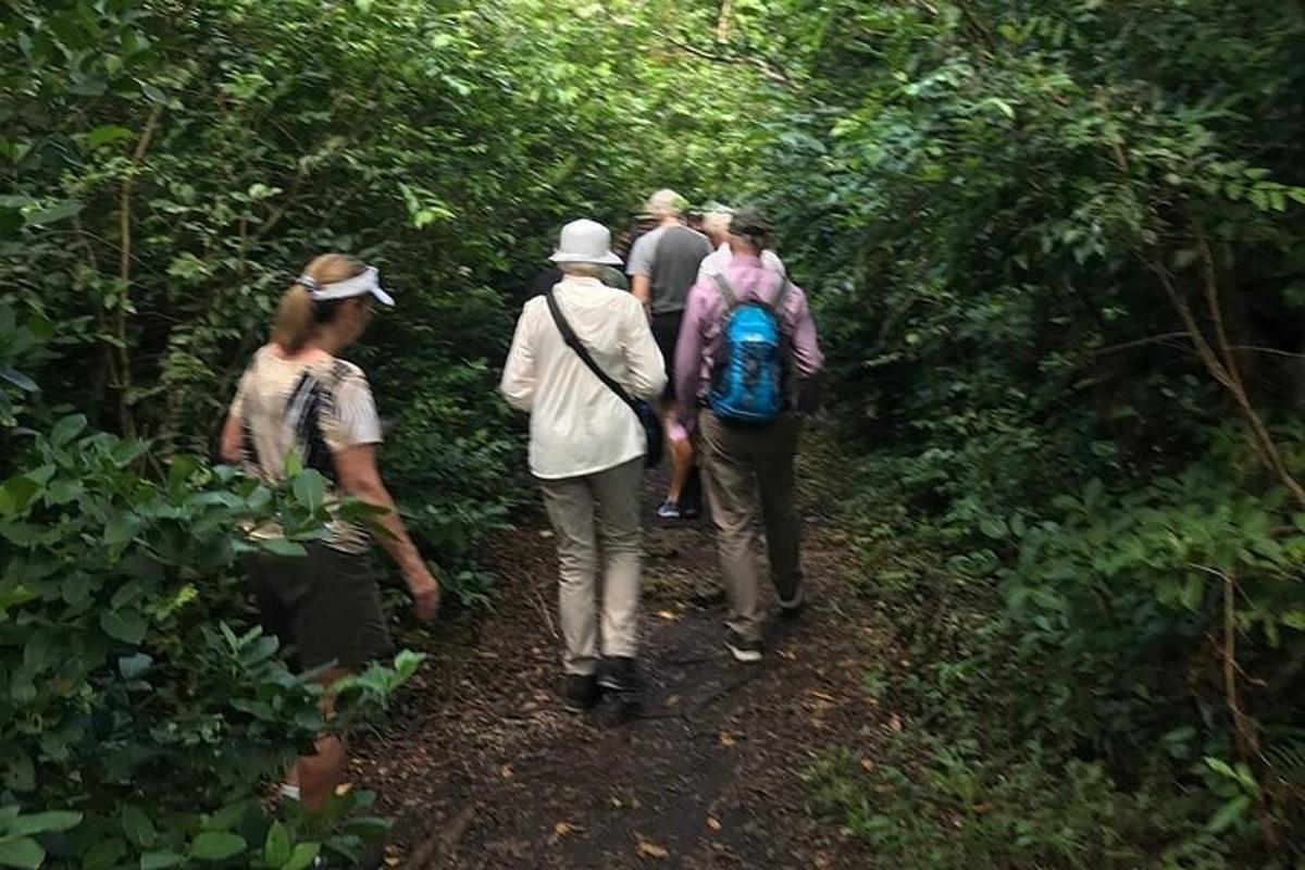 sekumpulan orang berjalan menyusuri denai di dalam hutan