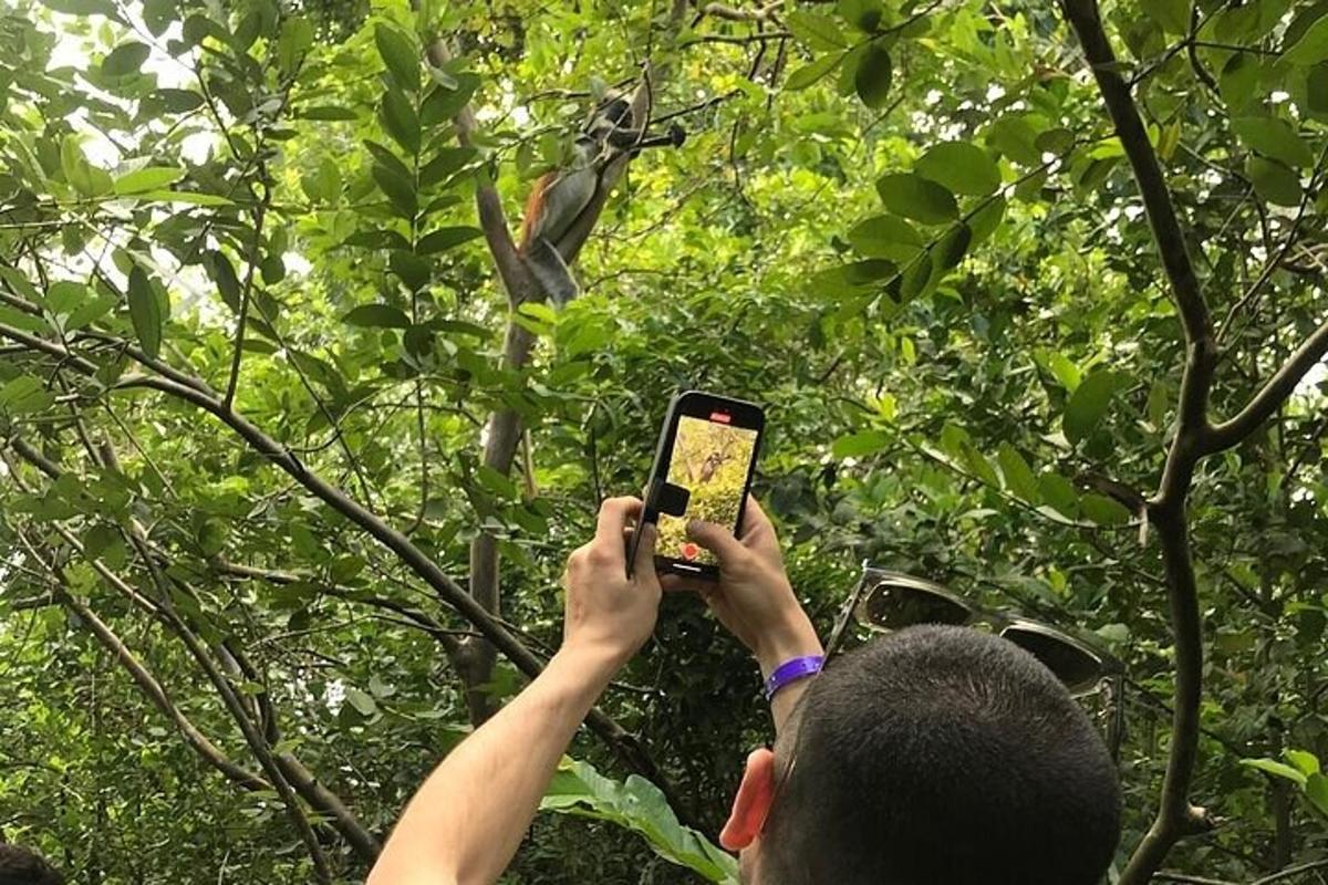 seseorang mengambil gambar burung dengan telefon bimbit