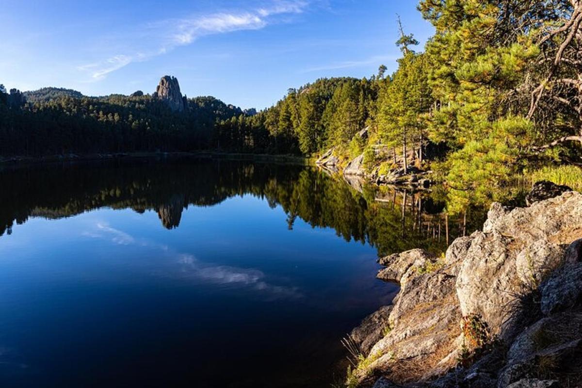 a view of a lake in the middle of a forest
