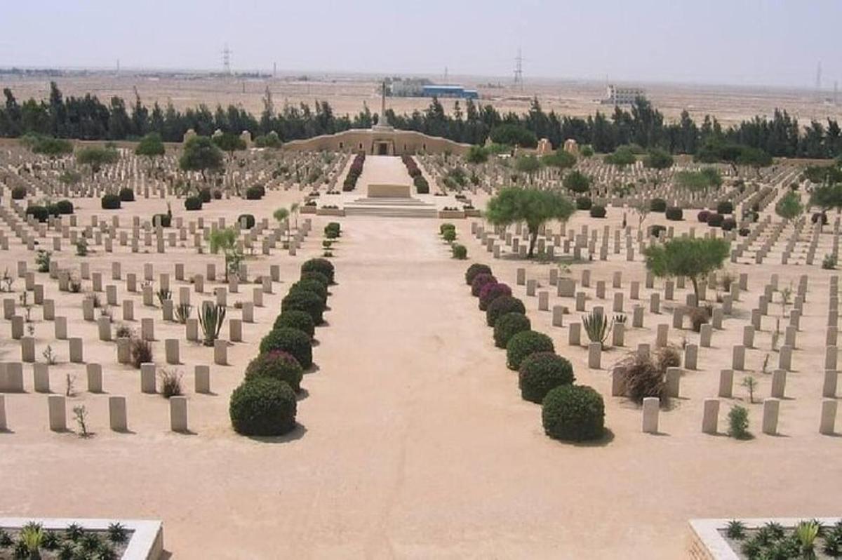 un grande cimitero con cespugli e alberi in un campo