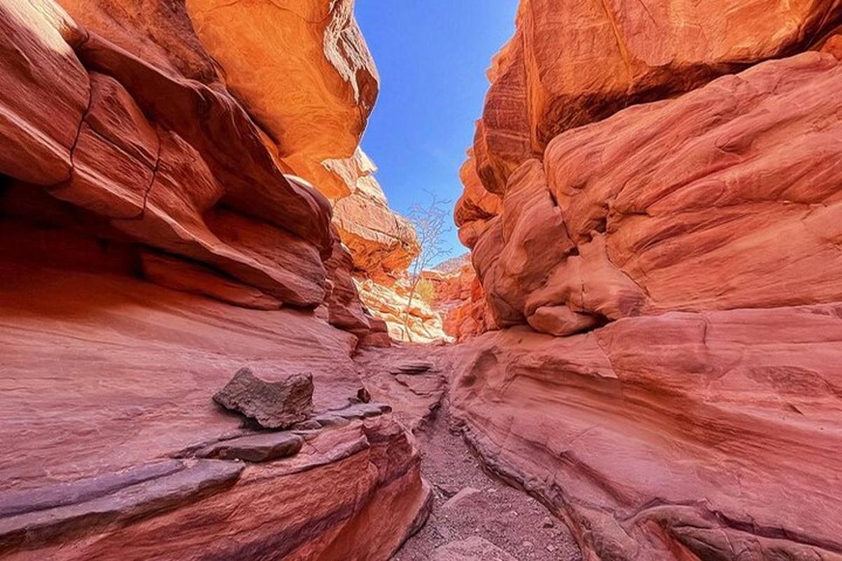 una vista di un canyon a fessura nel deserto