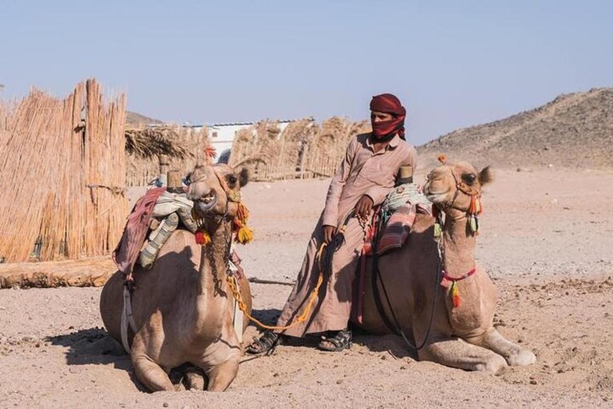 una donna è seduta su due cammelli nel deserto