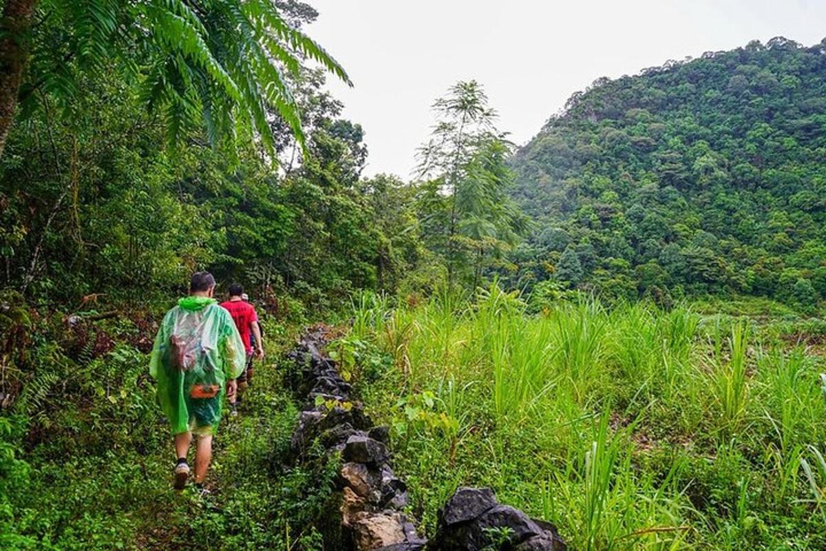 two people walking on a trail in the jungle
