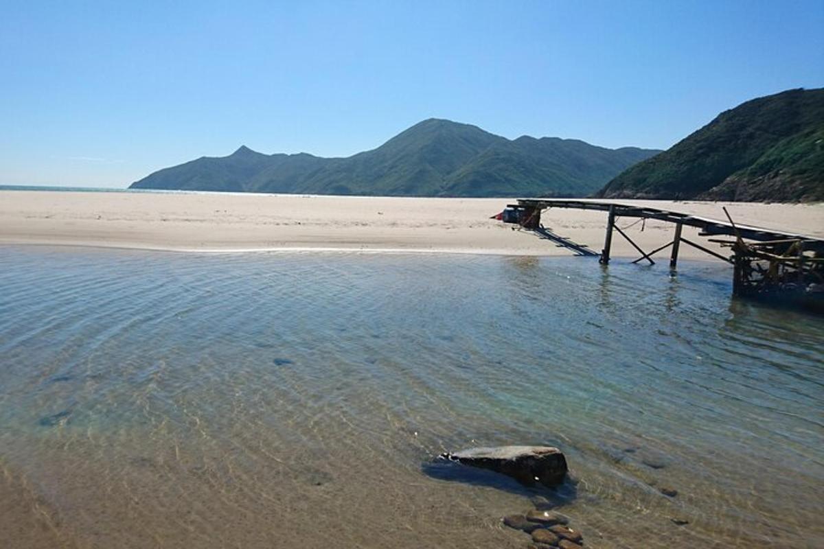 un puente de madera sobre el agua en una playa