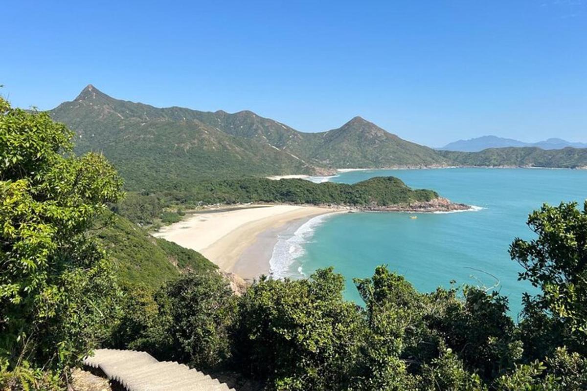 Una vista de una playa con árboles y el océano.