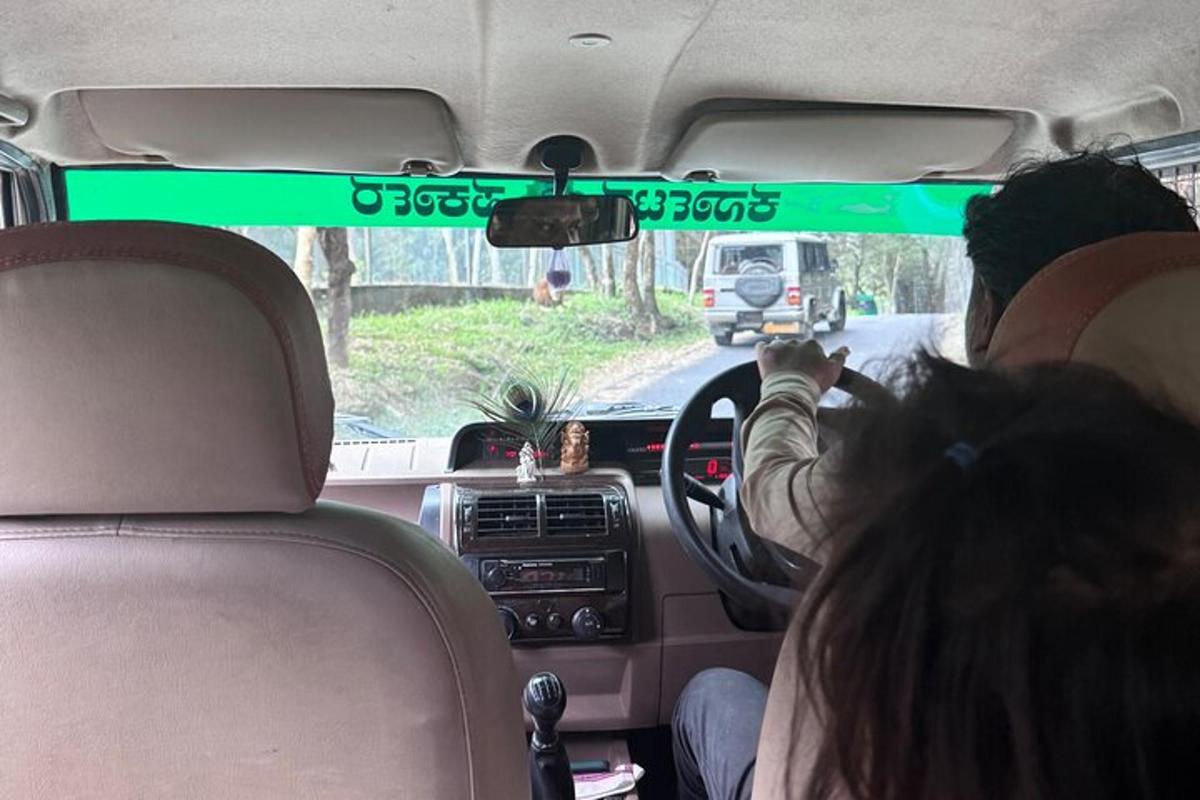 a group of people sitting in a car