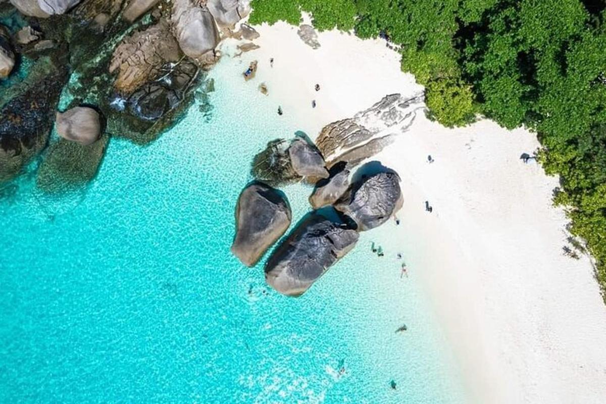 an aerial view of a beach with people in the water