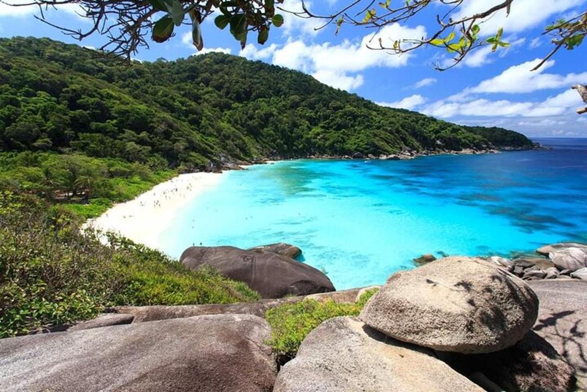 a beach with rocks and blue water and trees