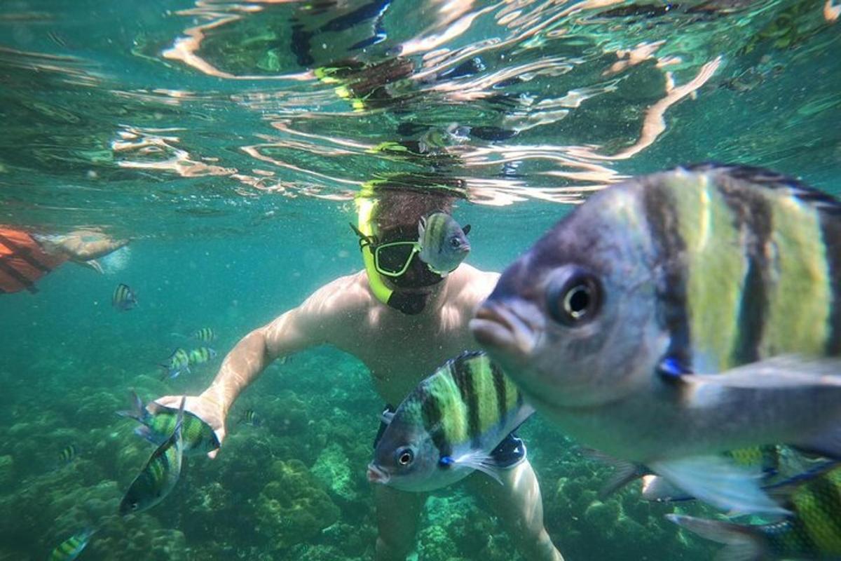 isang lalaking lumalangoy sa tubig na may kasamang isda