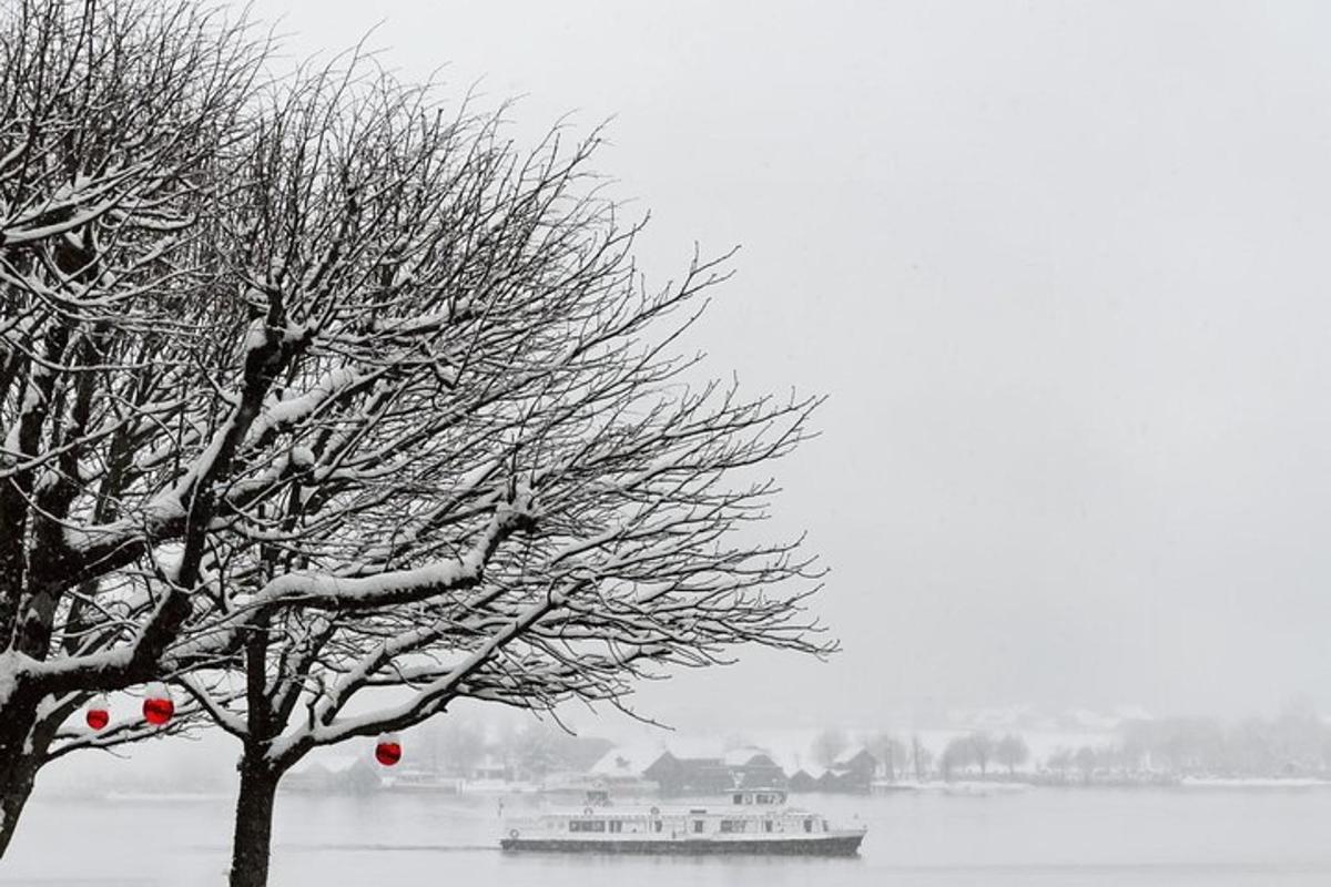 en båt på vannet med et snødekt tre