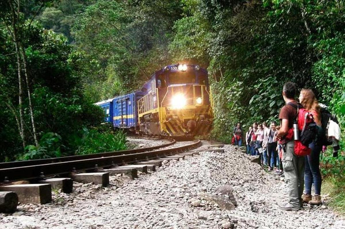 Un grupo de personas mirando un tren en las vías.
