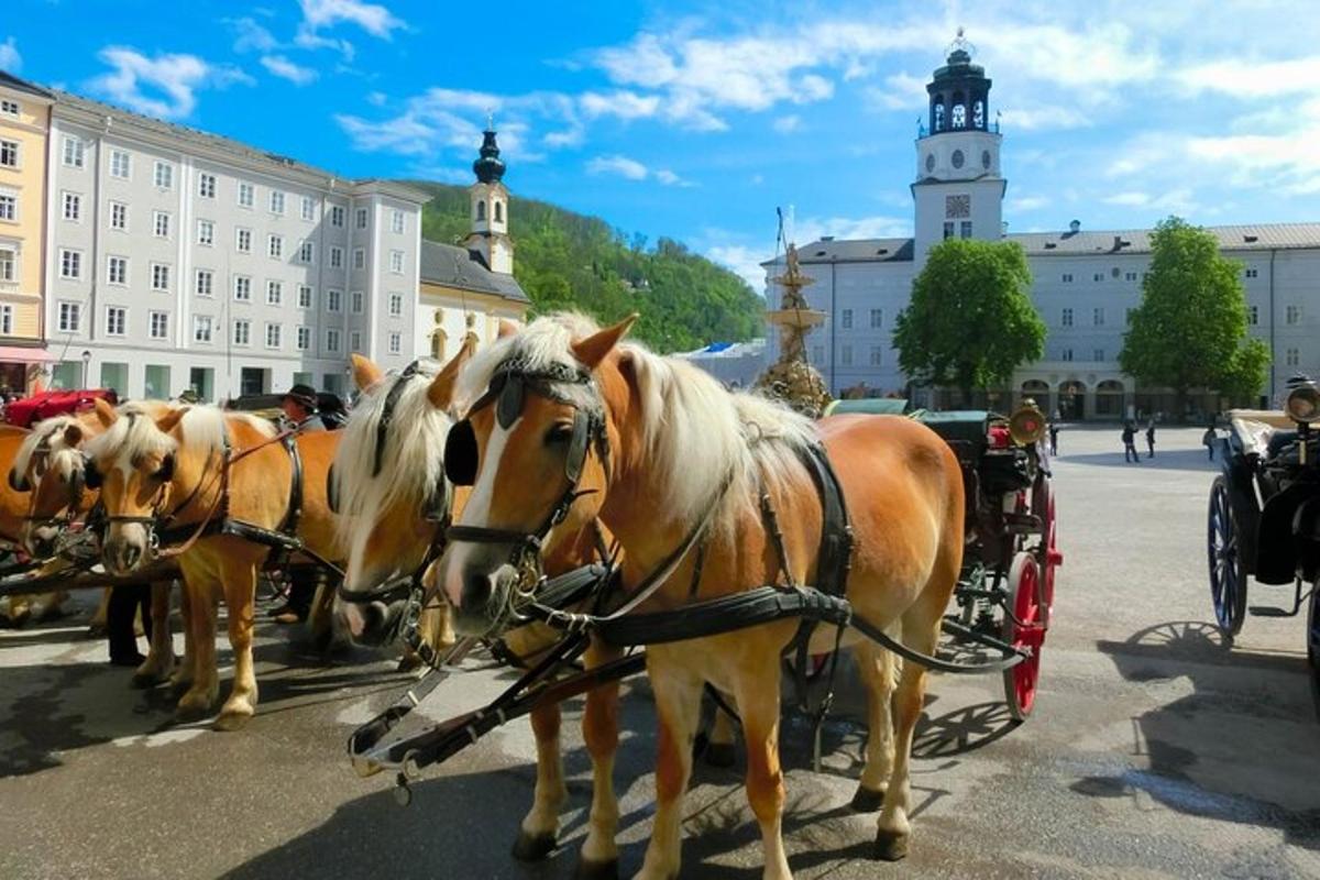 hópur hesta sem draga vagn niður götu