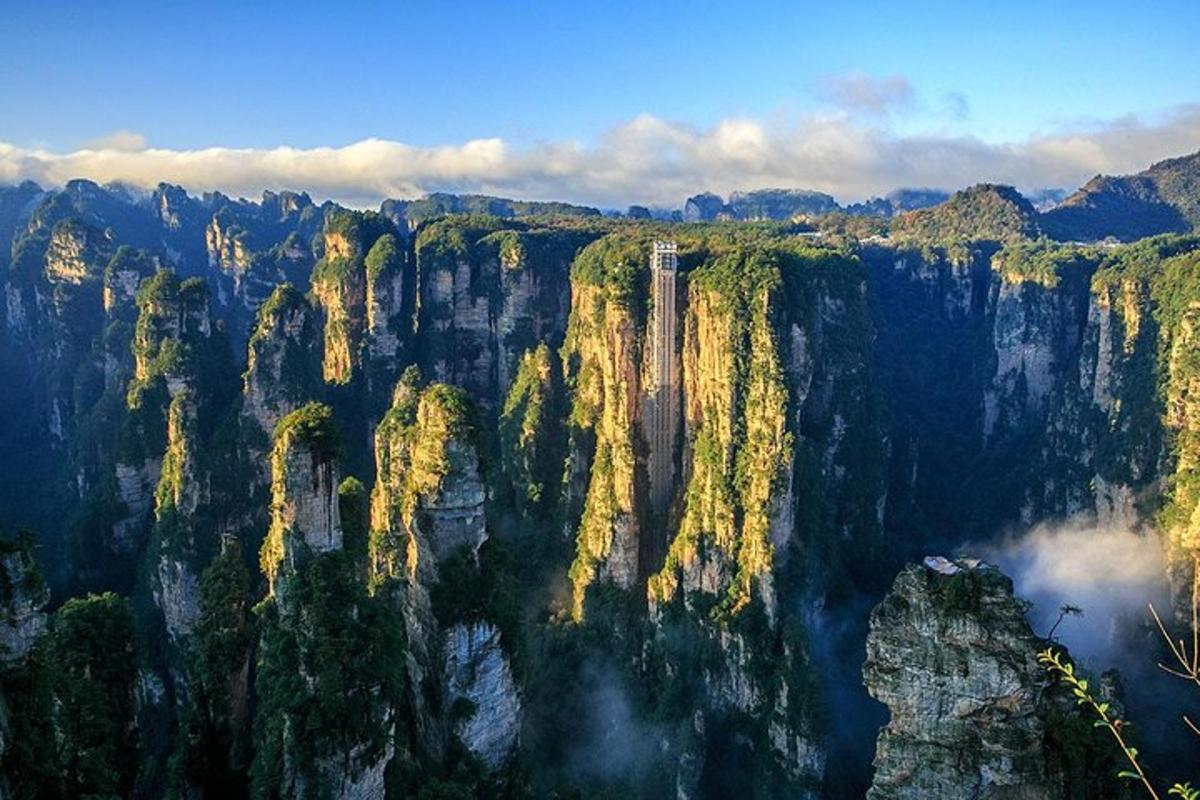 树木和岩石的山景