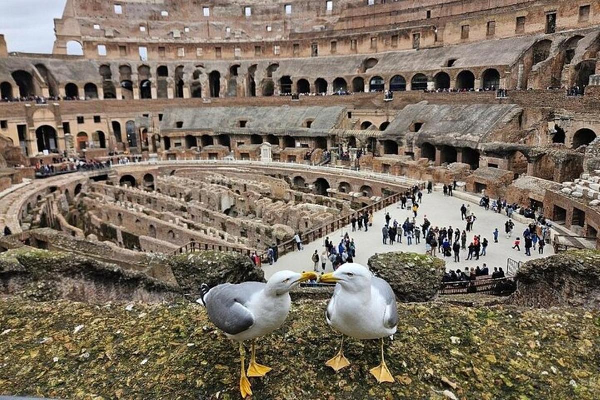 Foto 7 de l'atracció turística