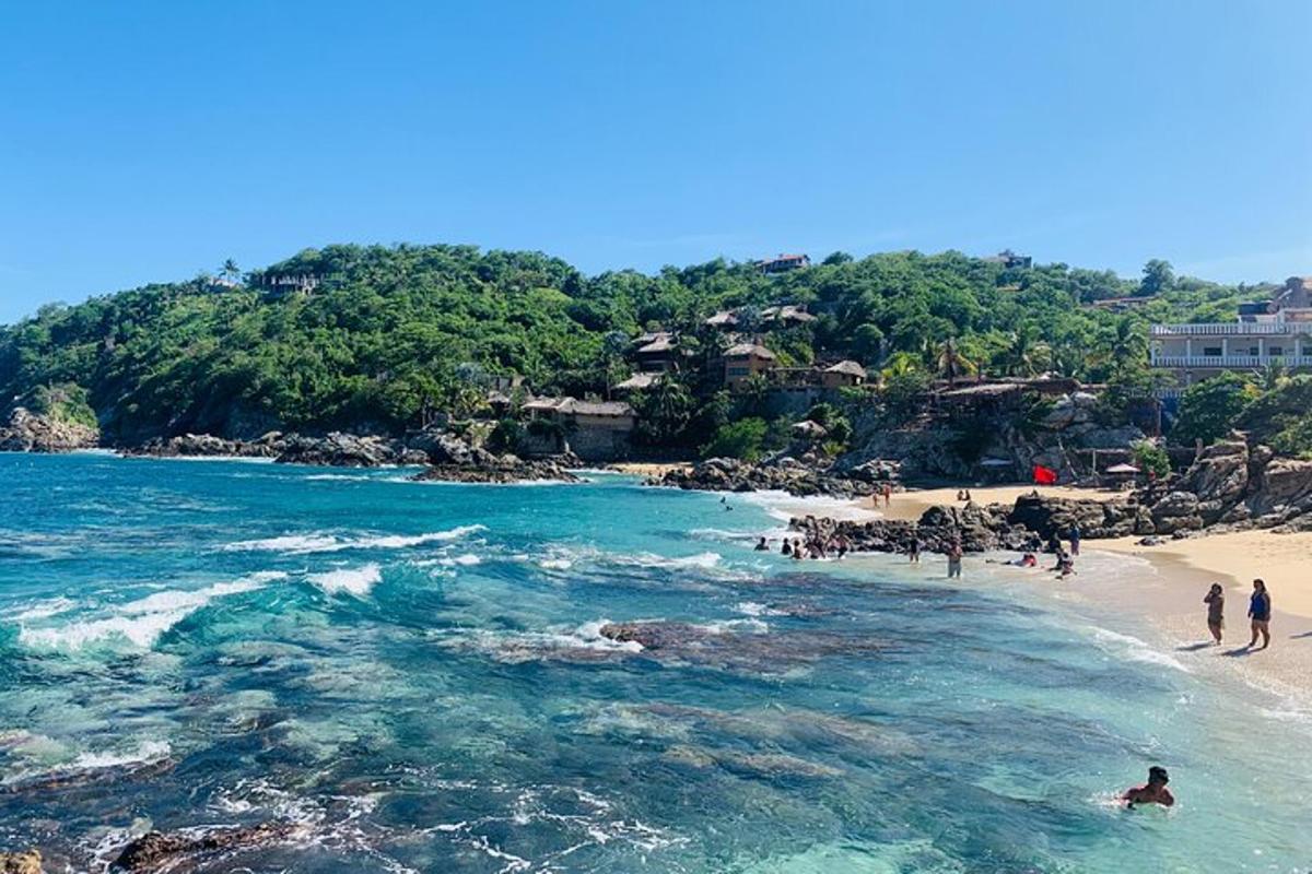 una playa con un grupo de personas en el agua
