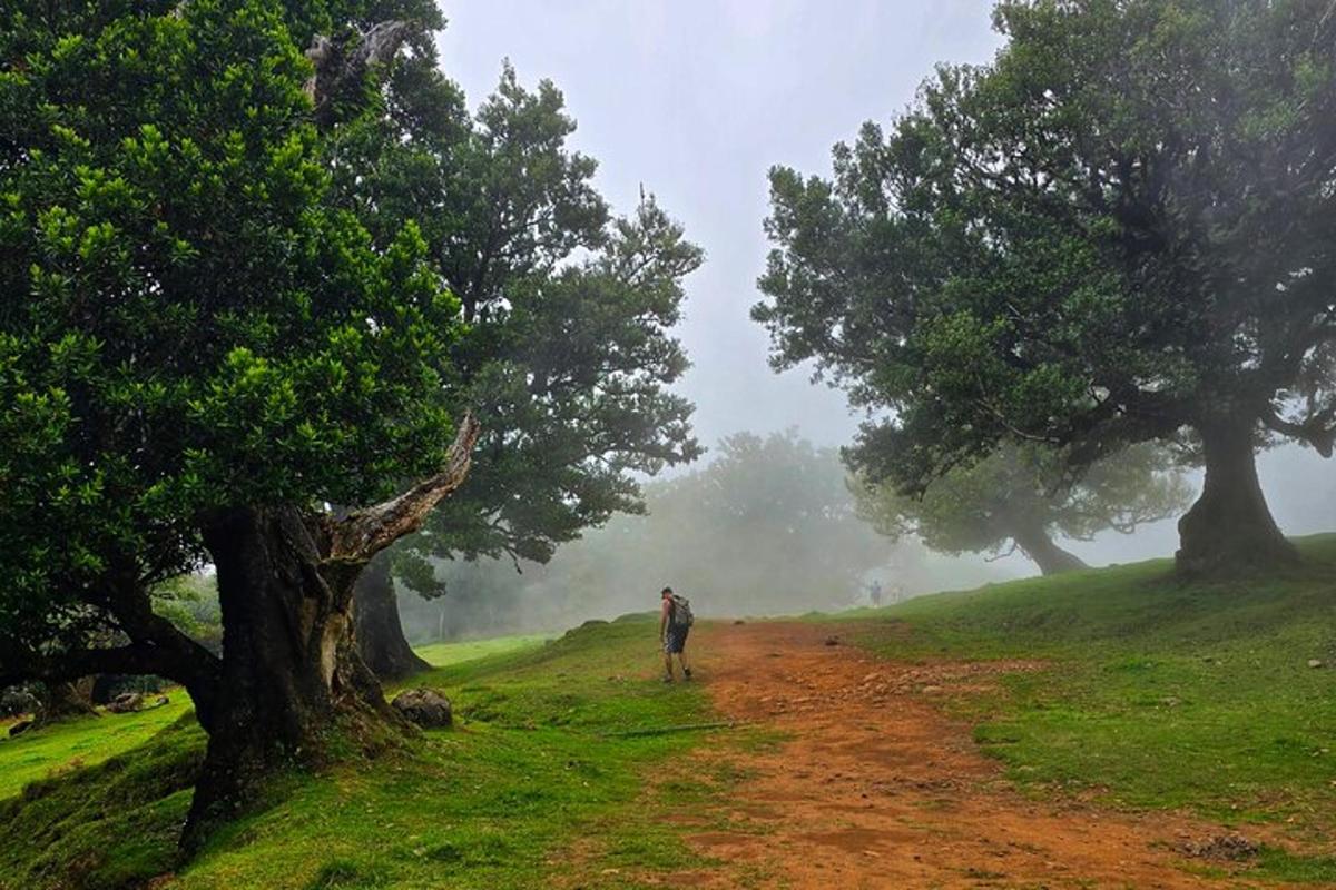 un uomo che cammina lungo una strada sterrata con alberi