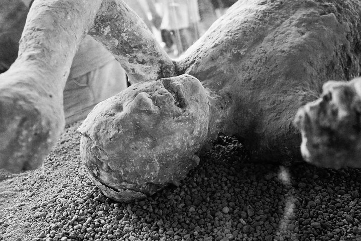 uma estátua de um animal deitado no chão