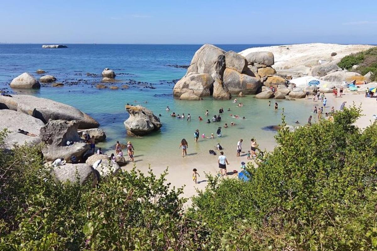 группа людей в воде на пляже