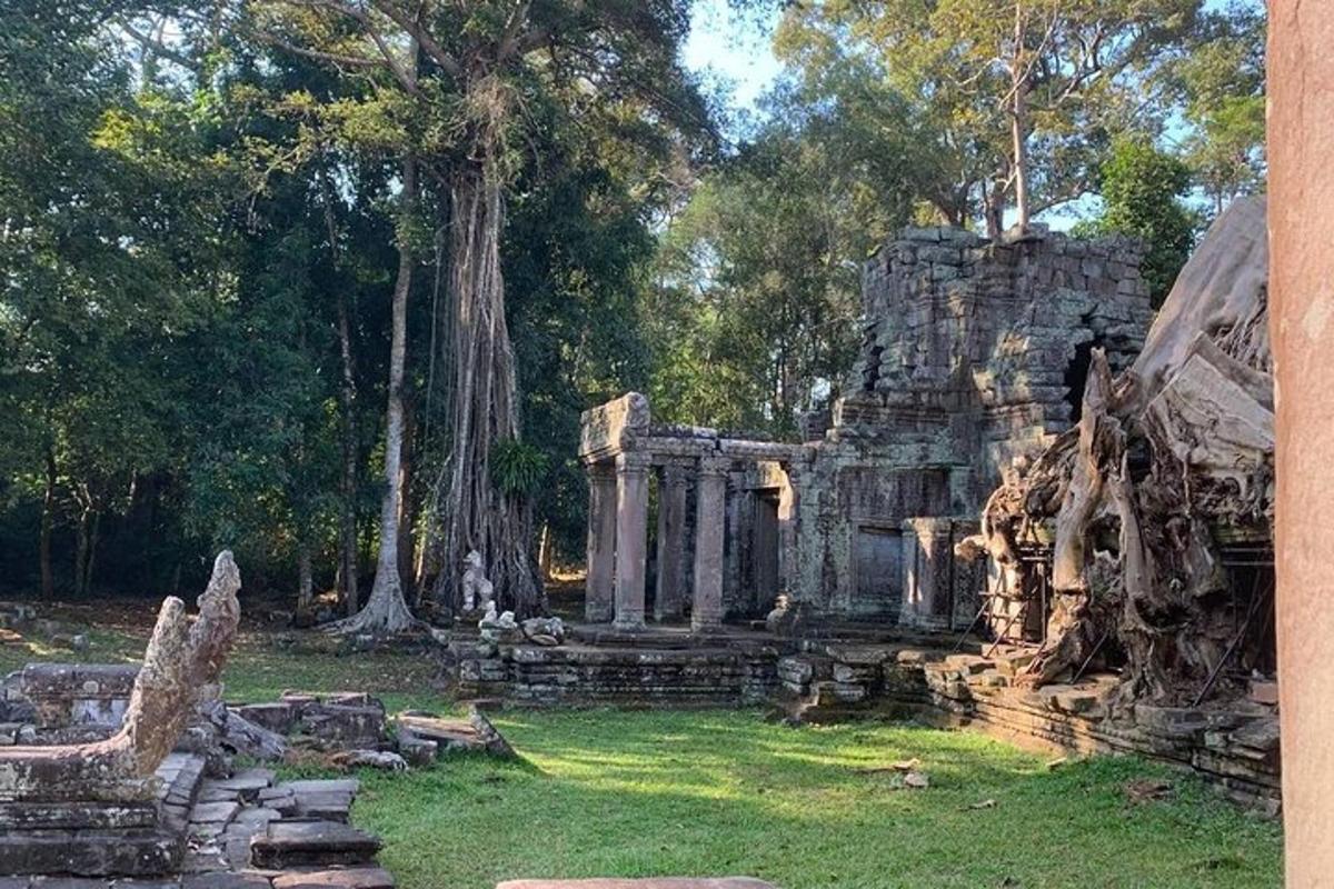 un vieux bâtiment en pierre avec des arbres dans un champ