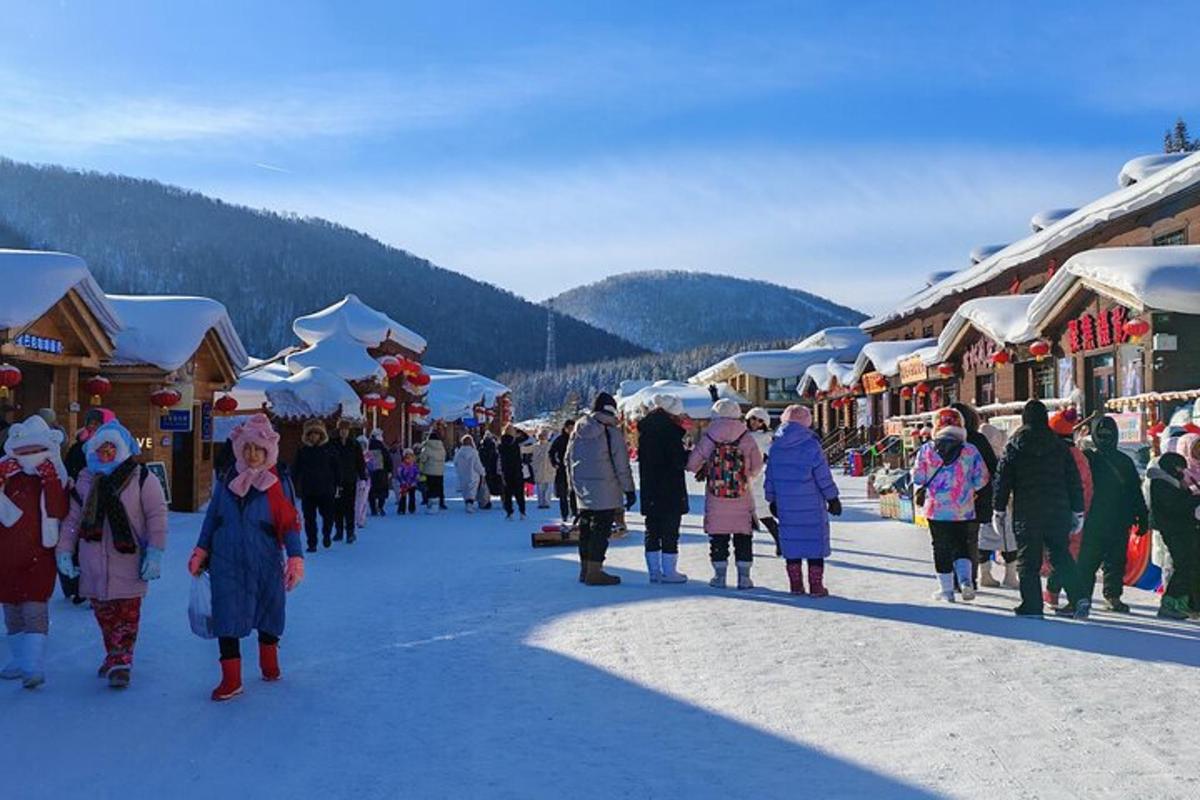 a crowd of people walking through a snow covered town