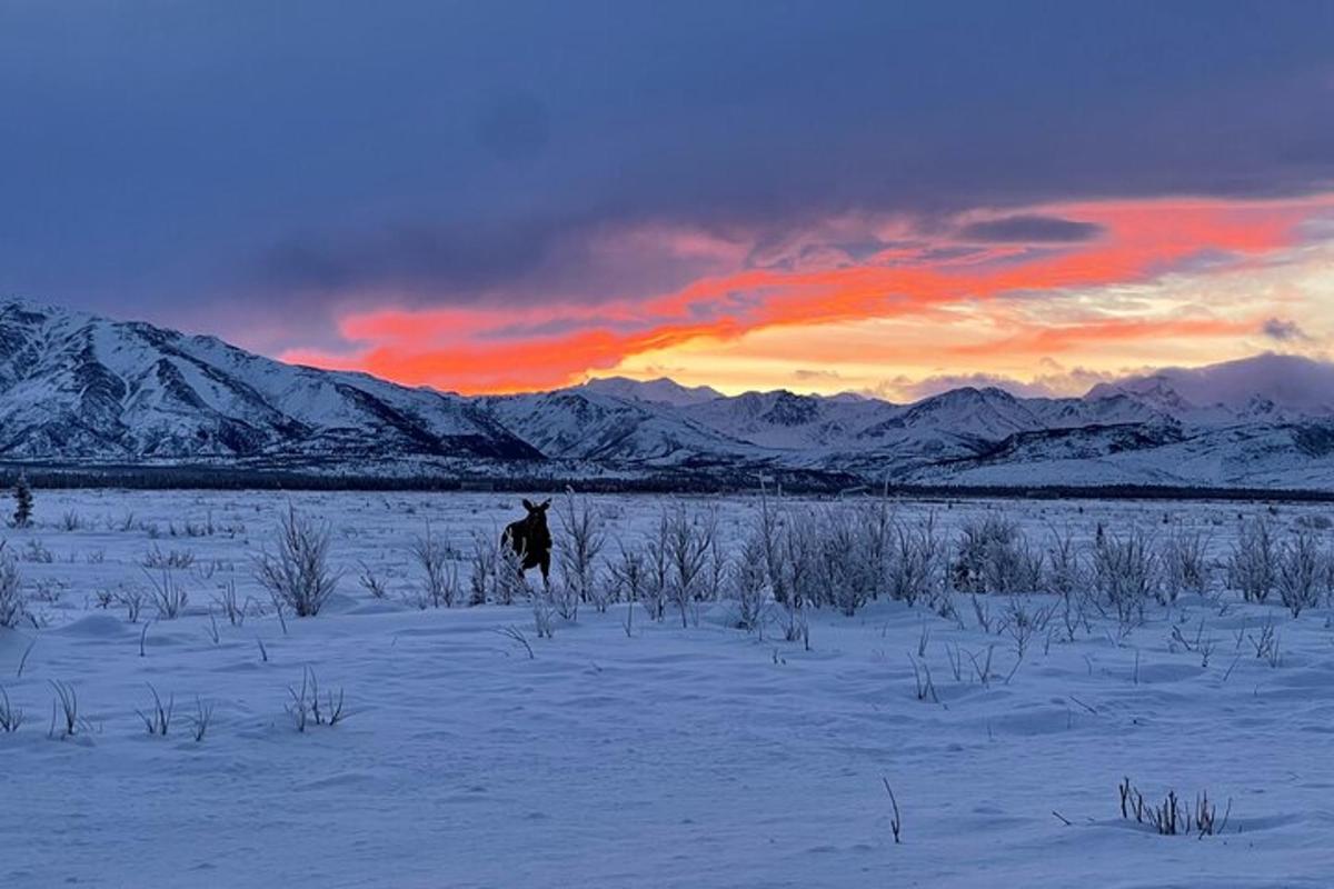eine Person, die auf einem schneebedeckten Feld steht und den Sonnenuntergang sieht