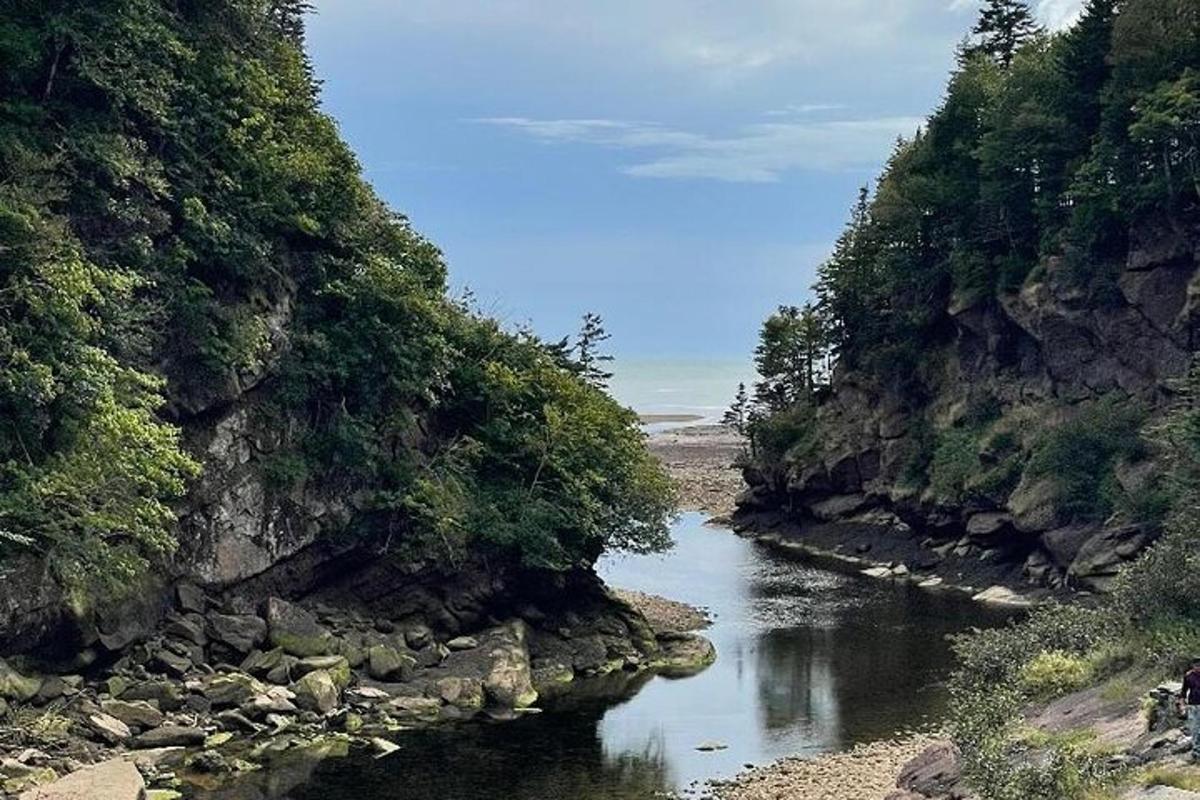 a river cutting through a mountain side with trees