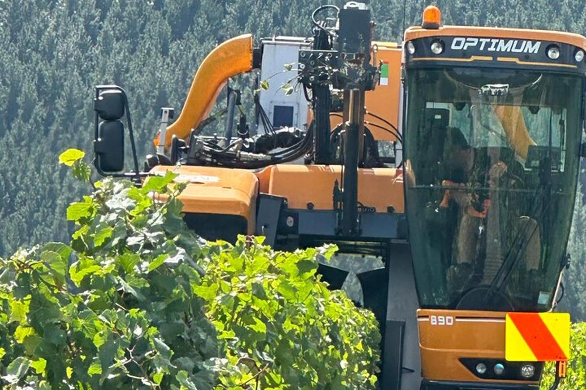 Velký oranžový buldozer zaparkovaný vedle keřů