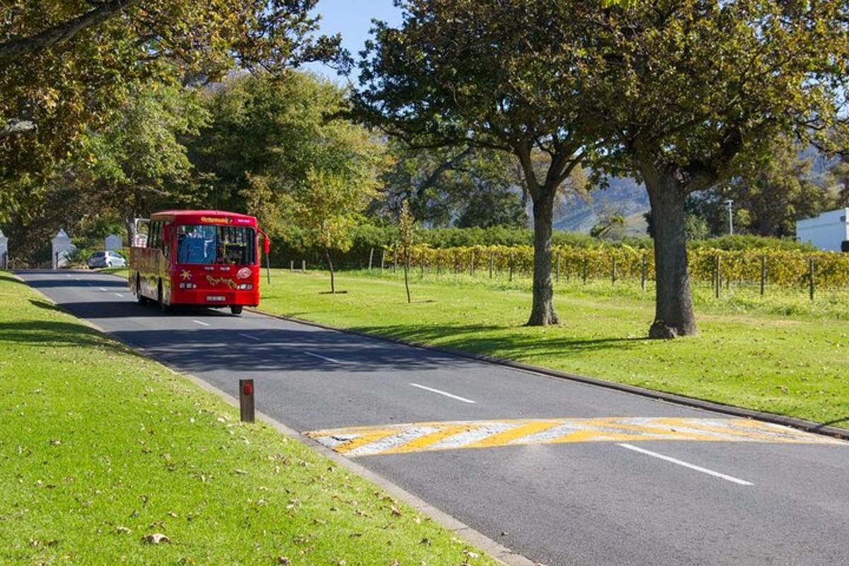 ein roter Bus fährt eine Straße entlang