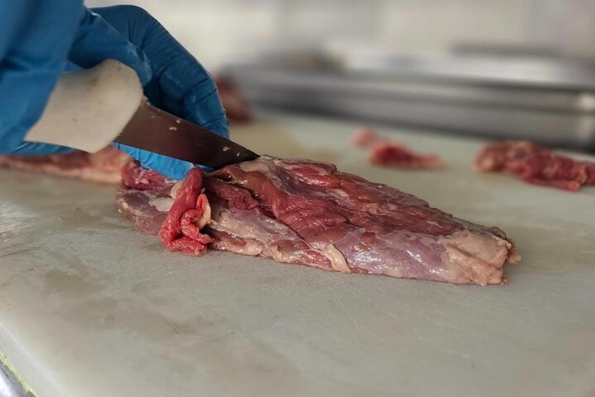 a person cutting a piece of meat with a knife