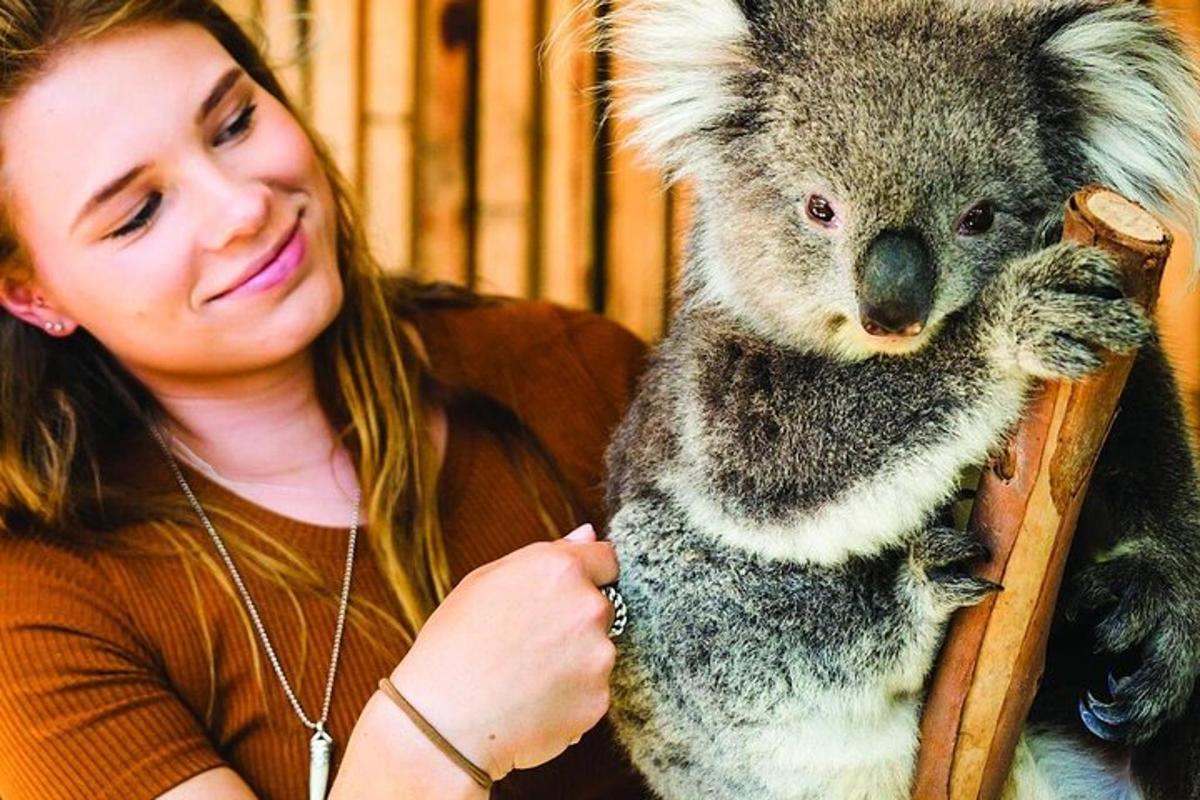 una donna tiene in braccio un koala