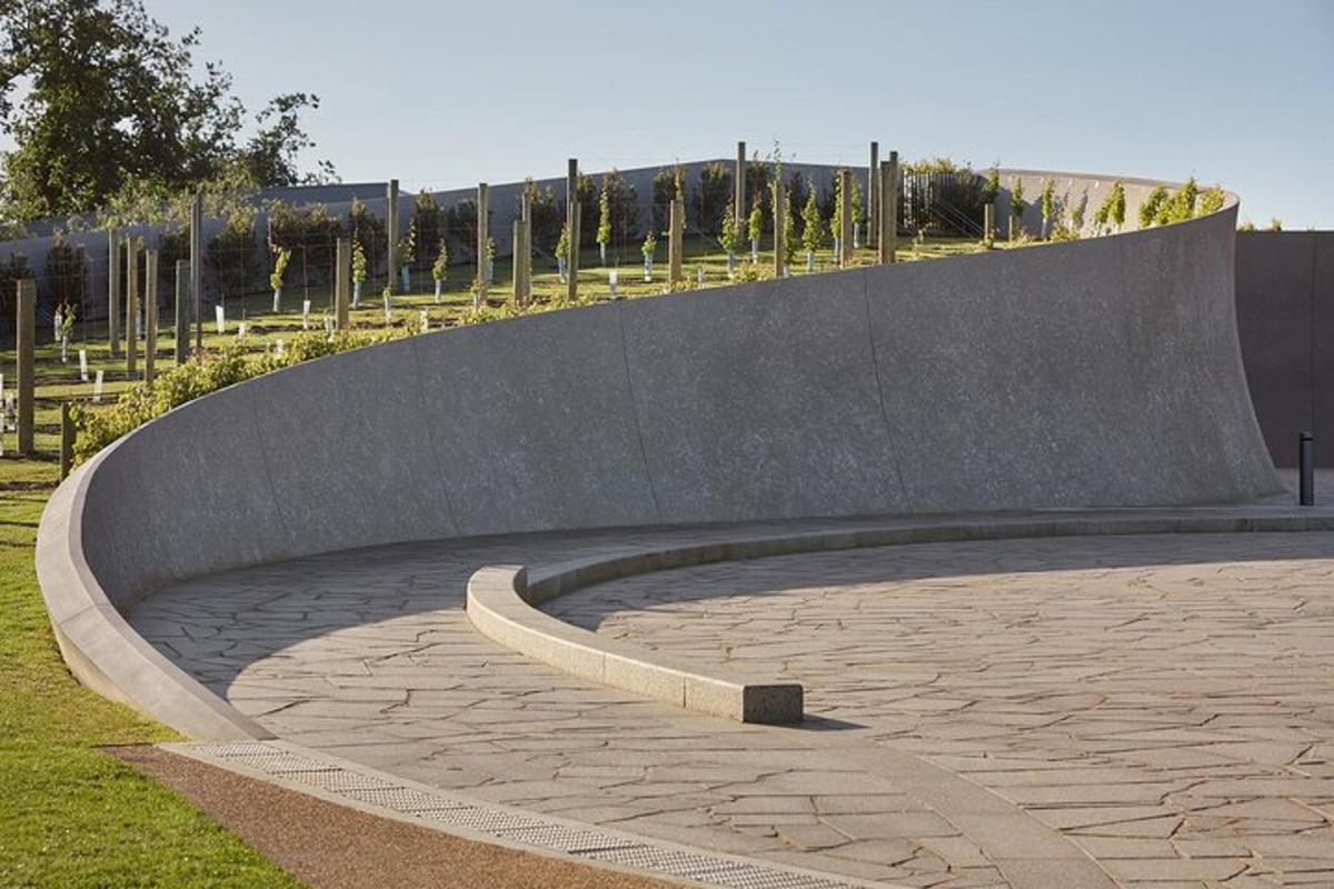 uno skate park con una rampa per skateboard in un parco