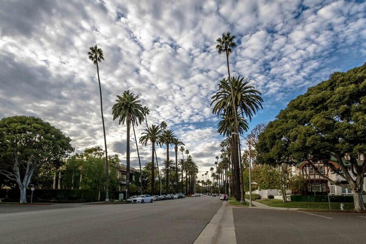eine Straße mit Palmen und einem bewölkten Himmel
