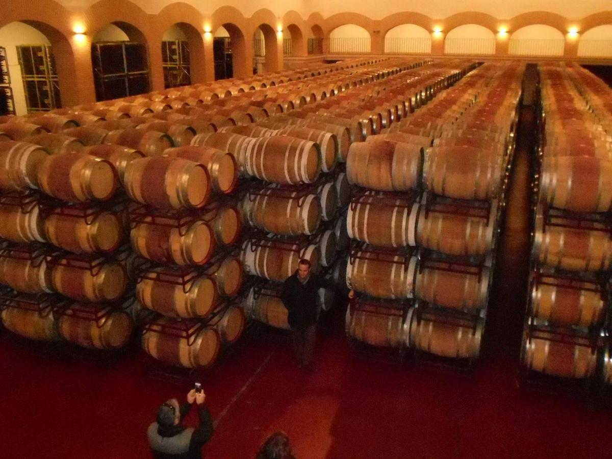 a large room filled with lots of wine barrels