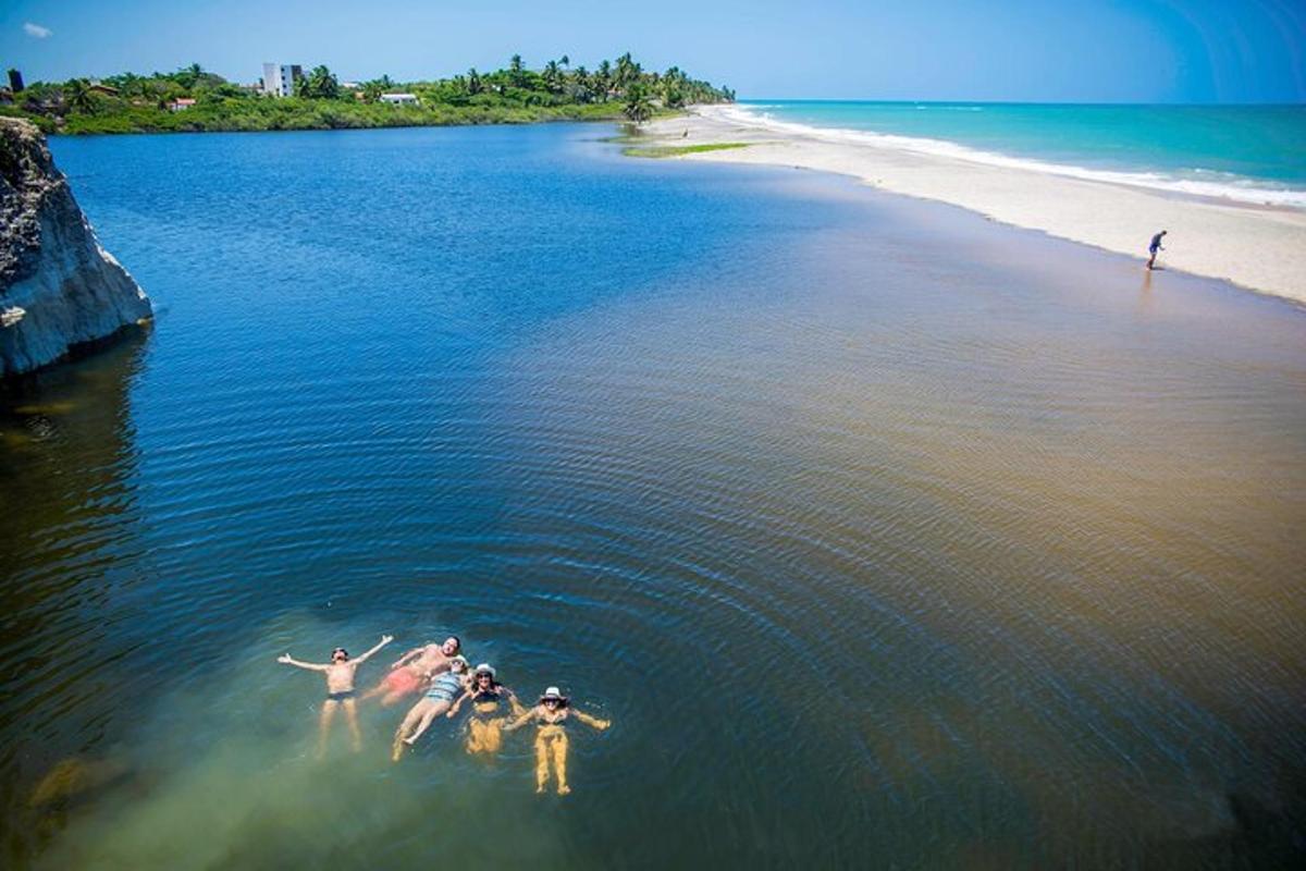 a group of people standing in the water on a beach