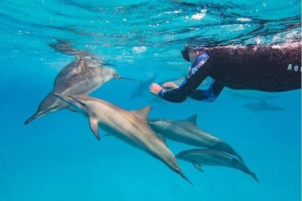 un uomo che nuota con i delfini nell'acqua