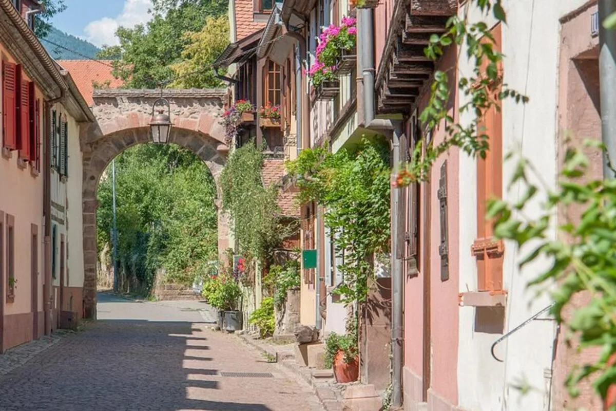 Colmar: Interaktive Auto-Rallye auf der Elsässer Weinstraße, 1 Tag – Foto 2