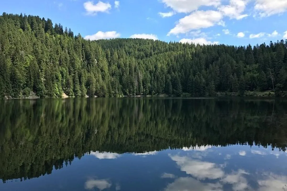 Rallye Voiture Insolite autour des Lacs Vosgiens – photo 3