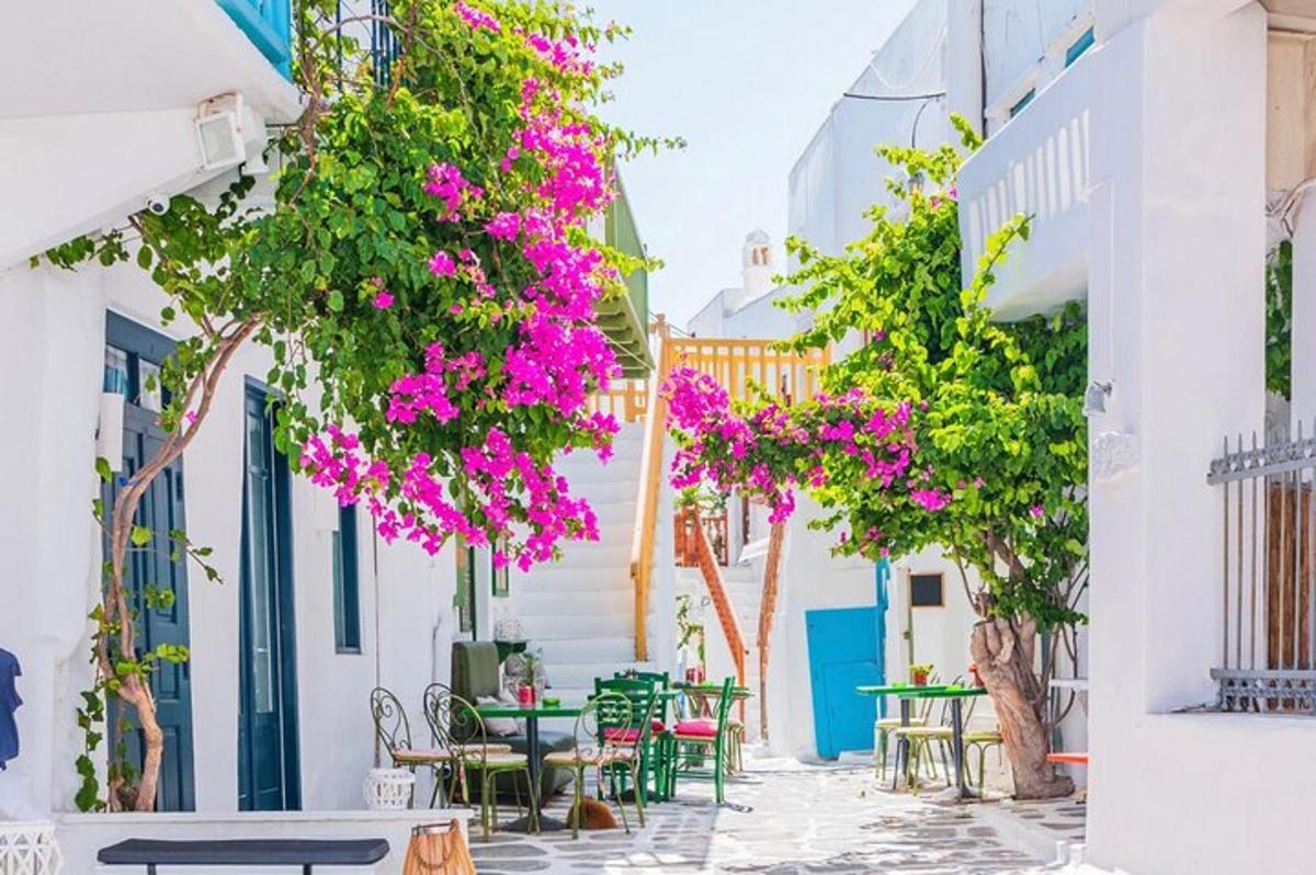 ulice ve městě Mykonos s růžovými květy