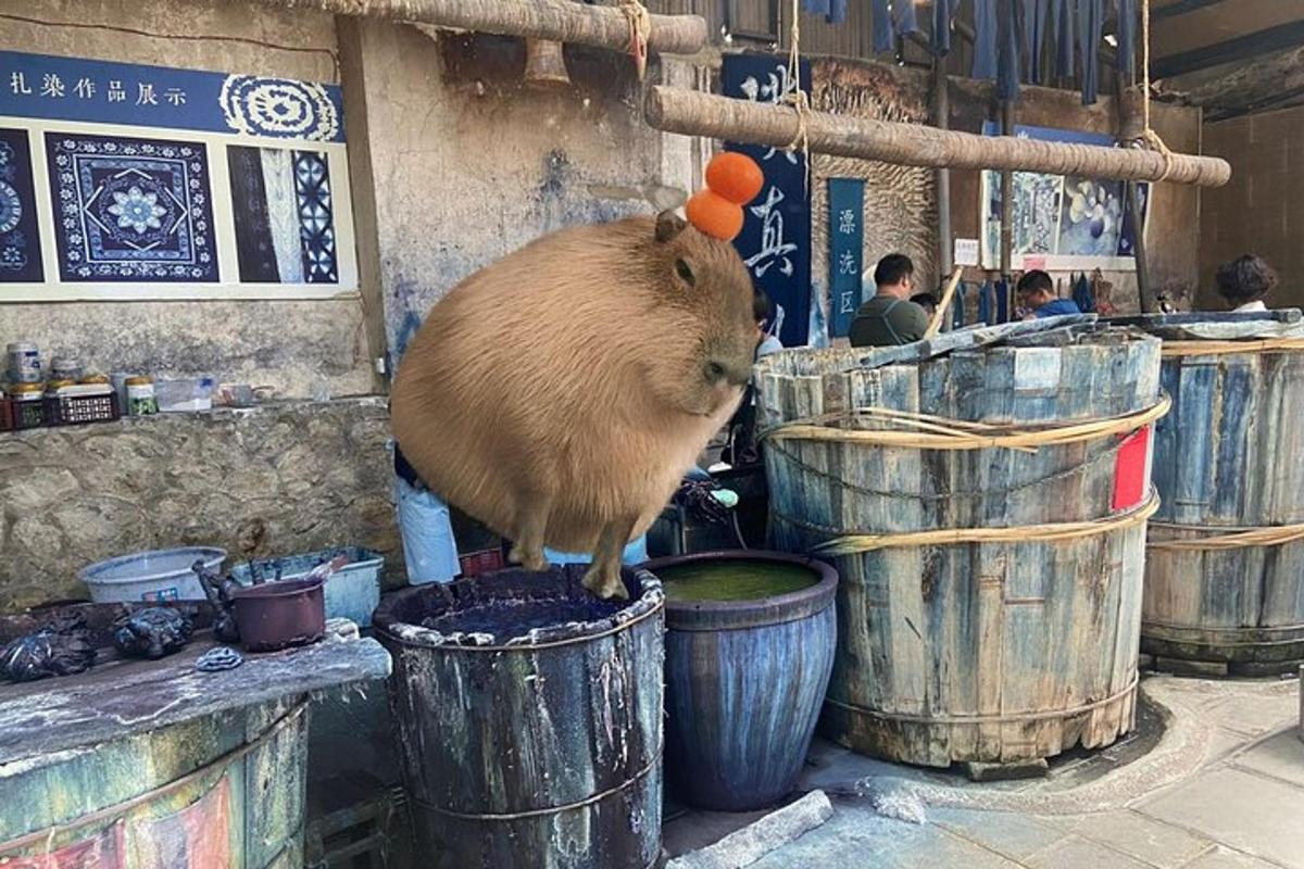 a large hamster standing on top of barrels